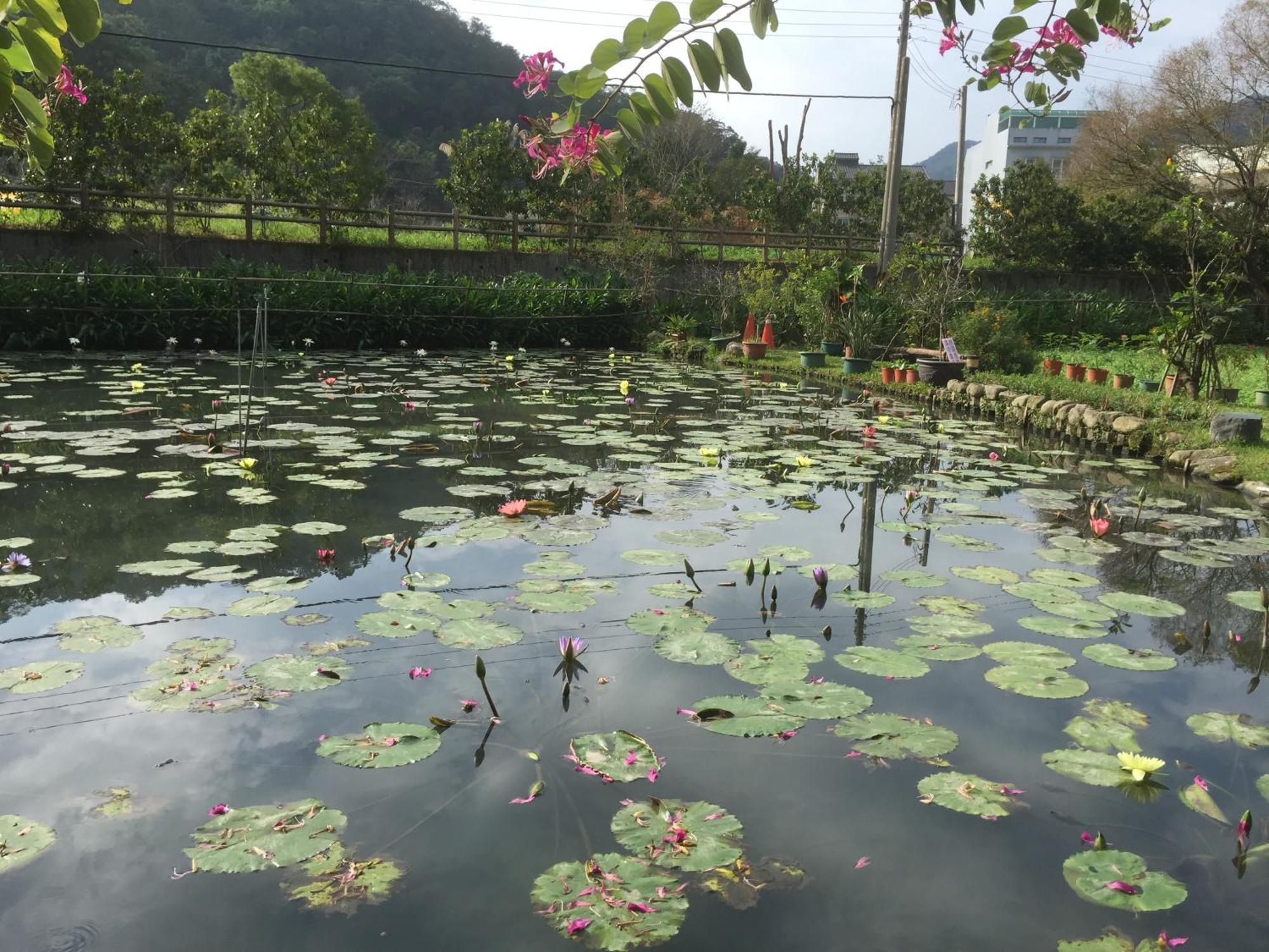 Yu Ho Yuan Lesiure Homestay หนานจวง ภายนอก รูปภาพ