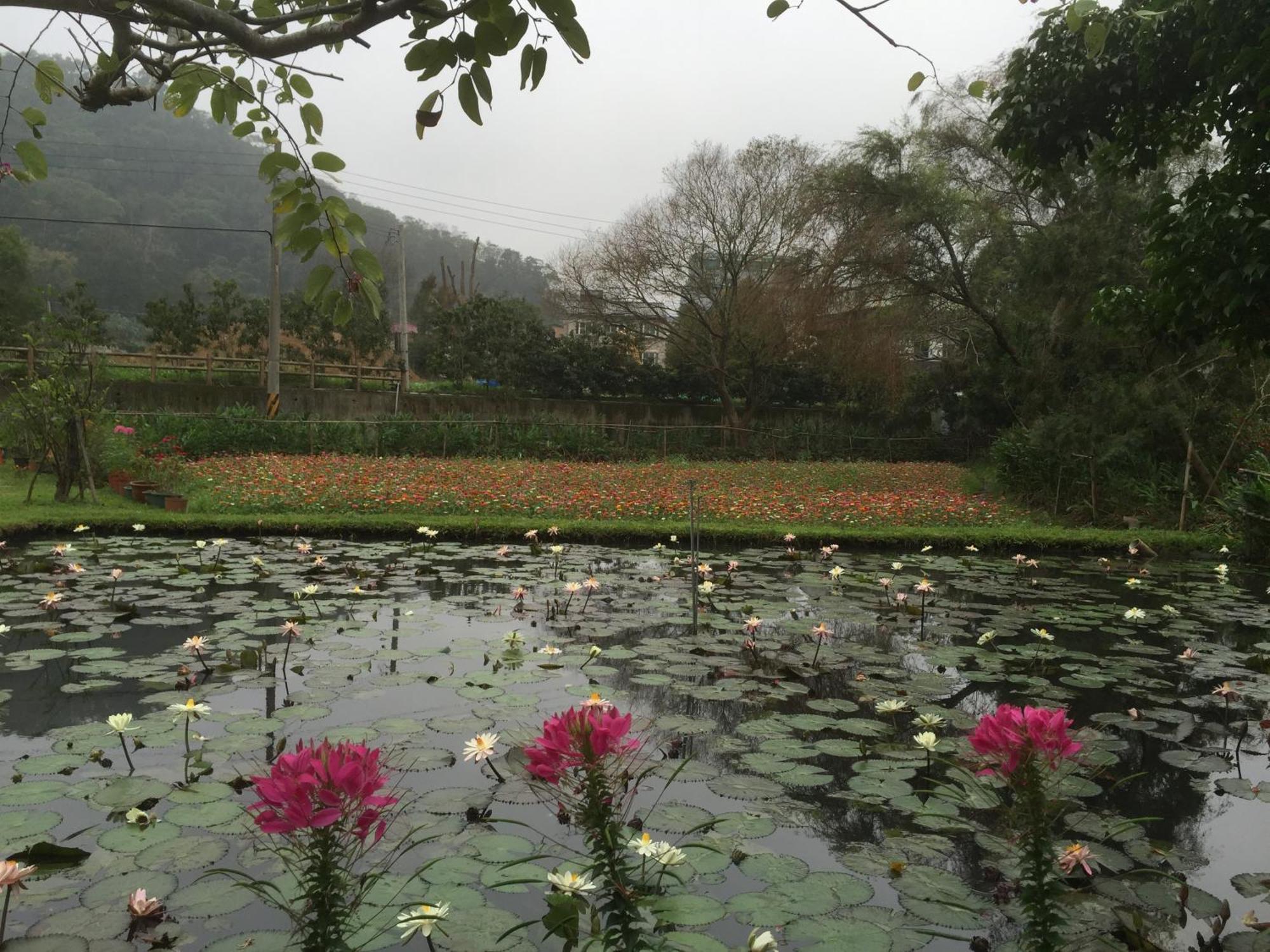 Yu Ho Yuan Lesiure Homestay หนานจวง ภายนอก รูปภาพ