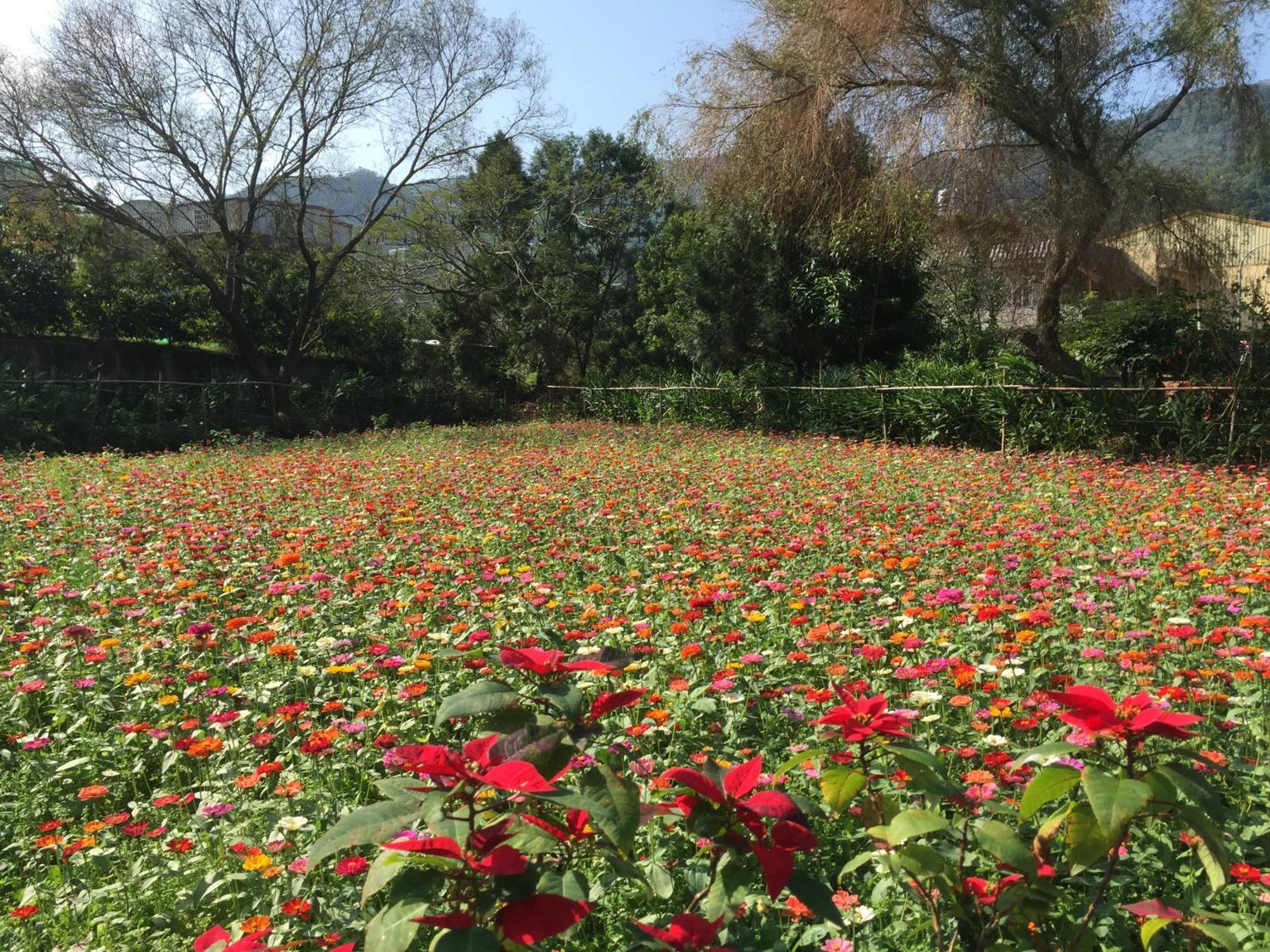 Yu Ho Yuan Lesiure Homestay หนานจวง ภายนอก รูปภาพ